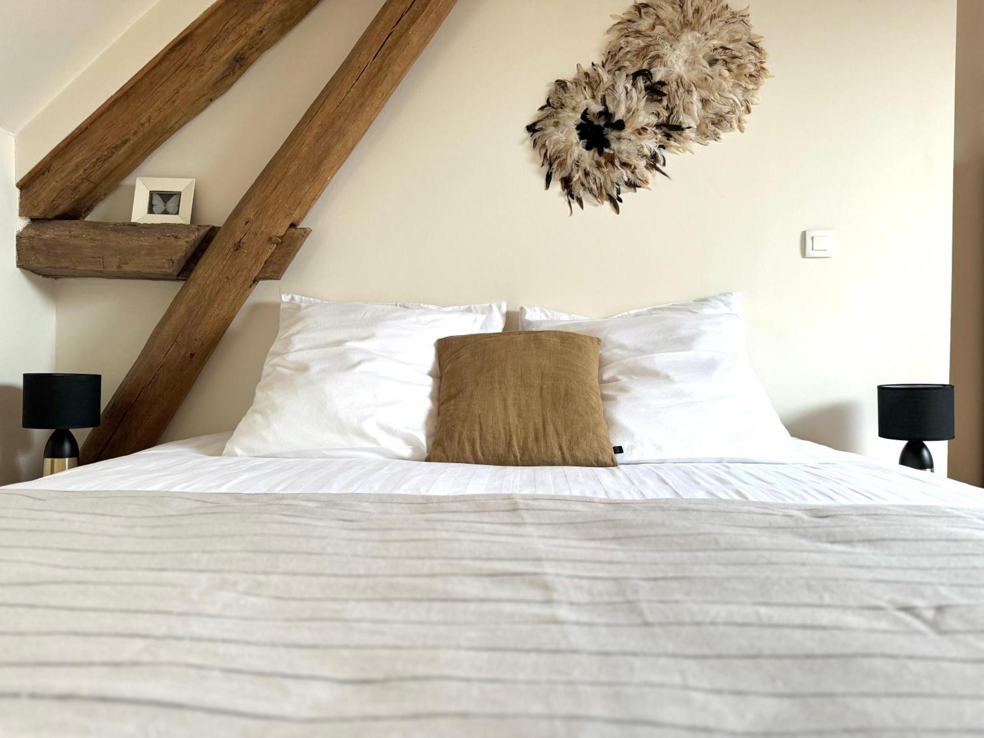 Le Moulin D Olivet Bed & Breakfast Orbigny Dış mekan fotoğraf