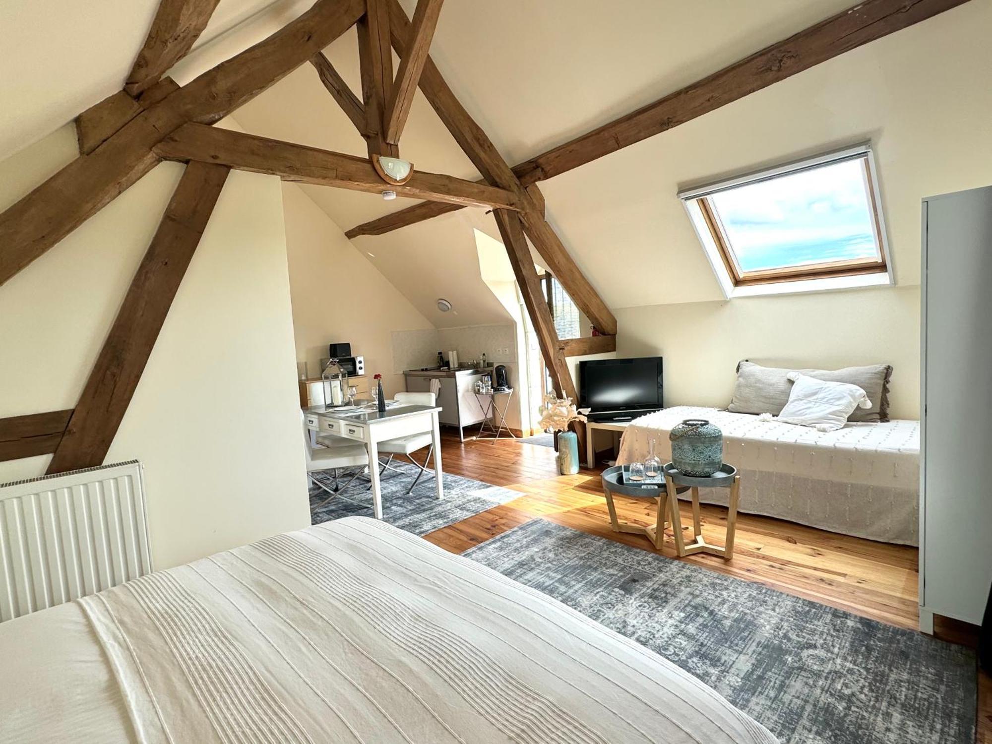 Le Moulin D Olivet Bed & Breakfast Orbigny Dış mekan fotoğraf