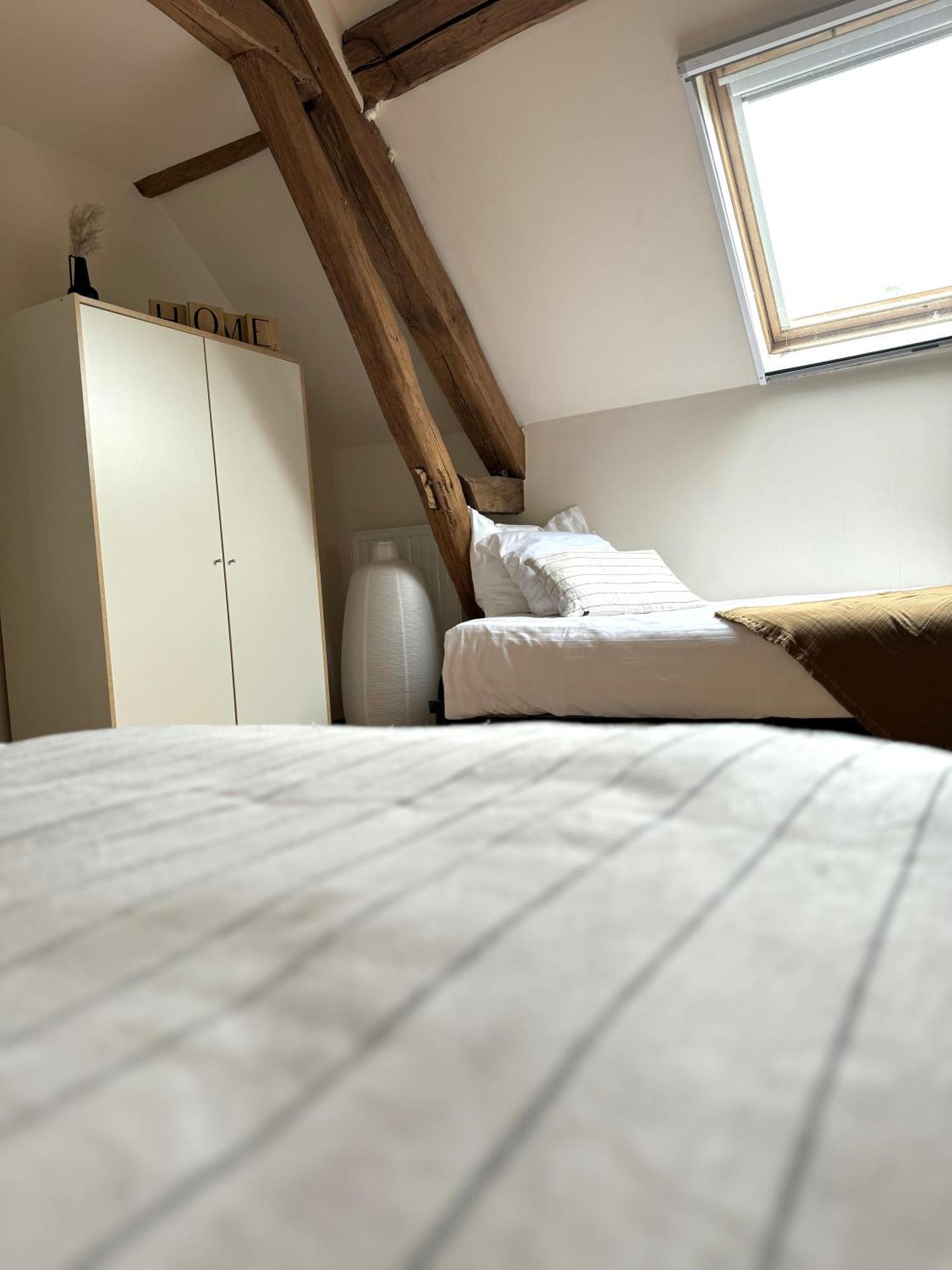 Le Moulin D Olivet Bed & Breakfast Orbigny Dış mekan fotoğraf