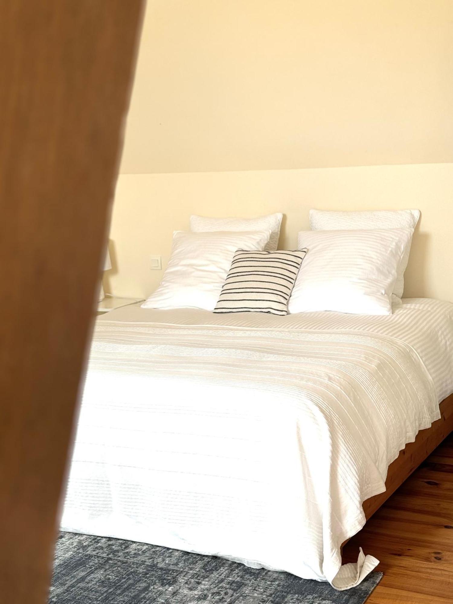 Le Moulin D Olivet Bed & Breakfast Orbigny Dış mekan fotoğraf
