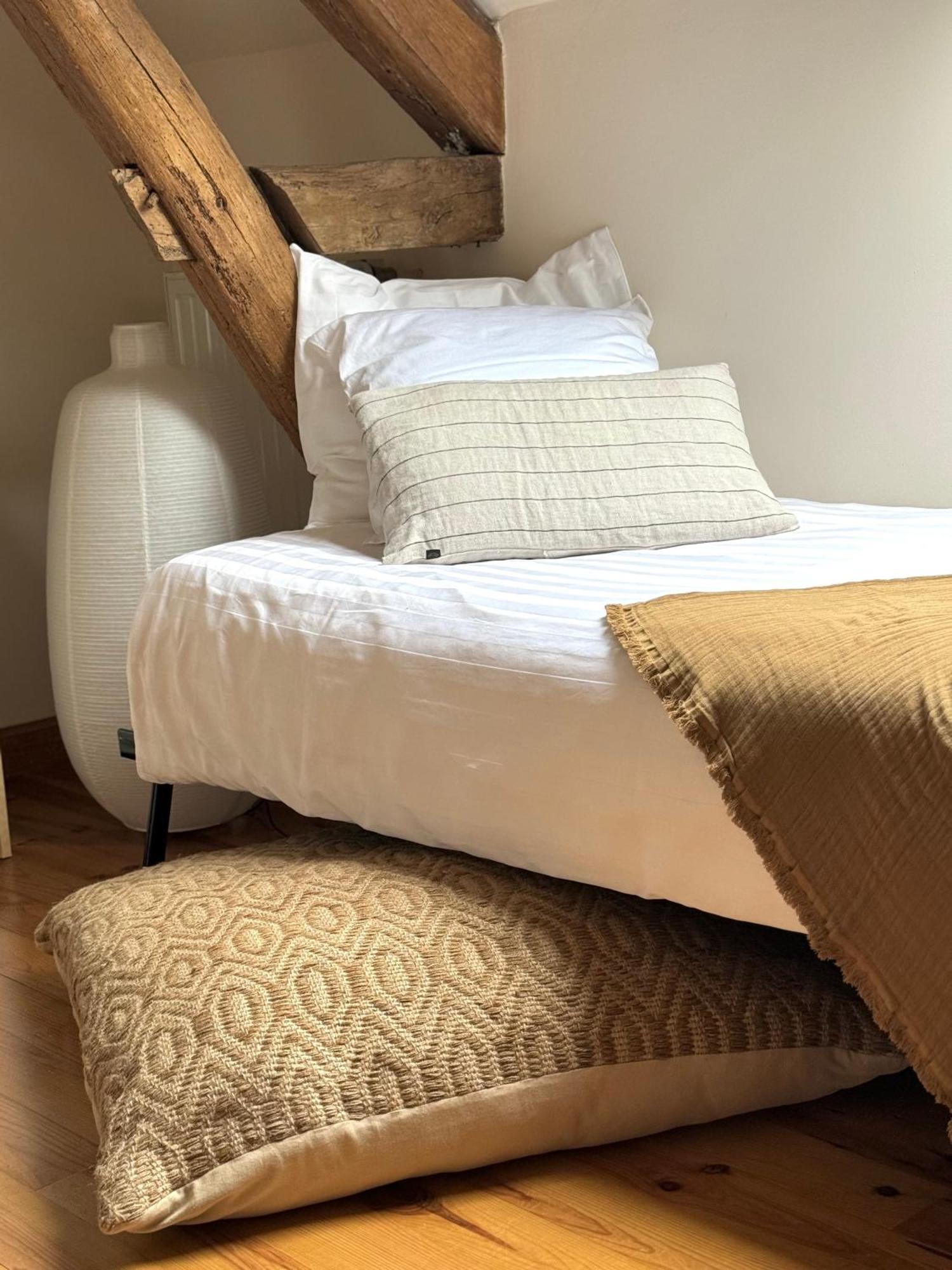 Le Moulin D Olivet Bed & Breakfast Orbigny Dış mekan fotoğraf