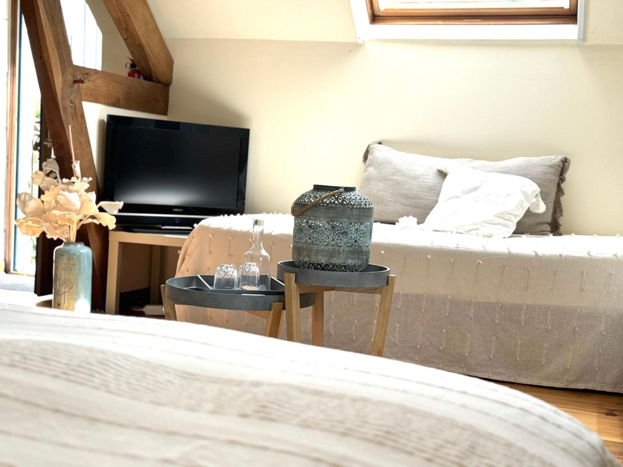 Le Moulin D Olivet Bed & Breakfast Orbigny Dış mekan fotoğraf