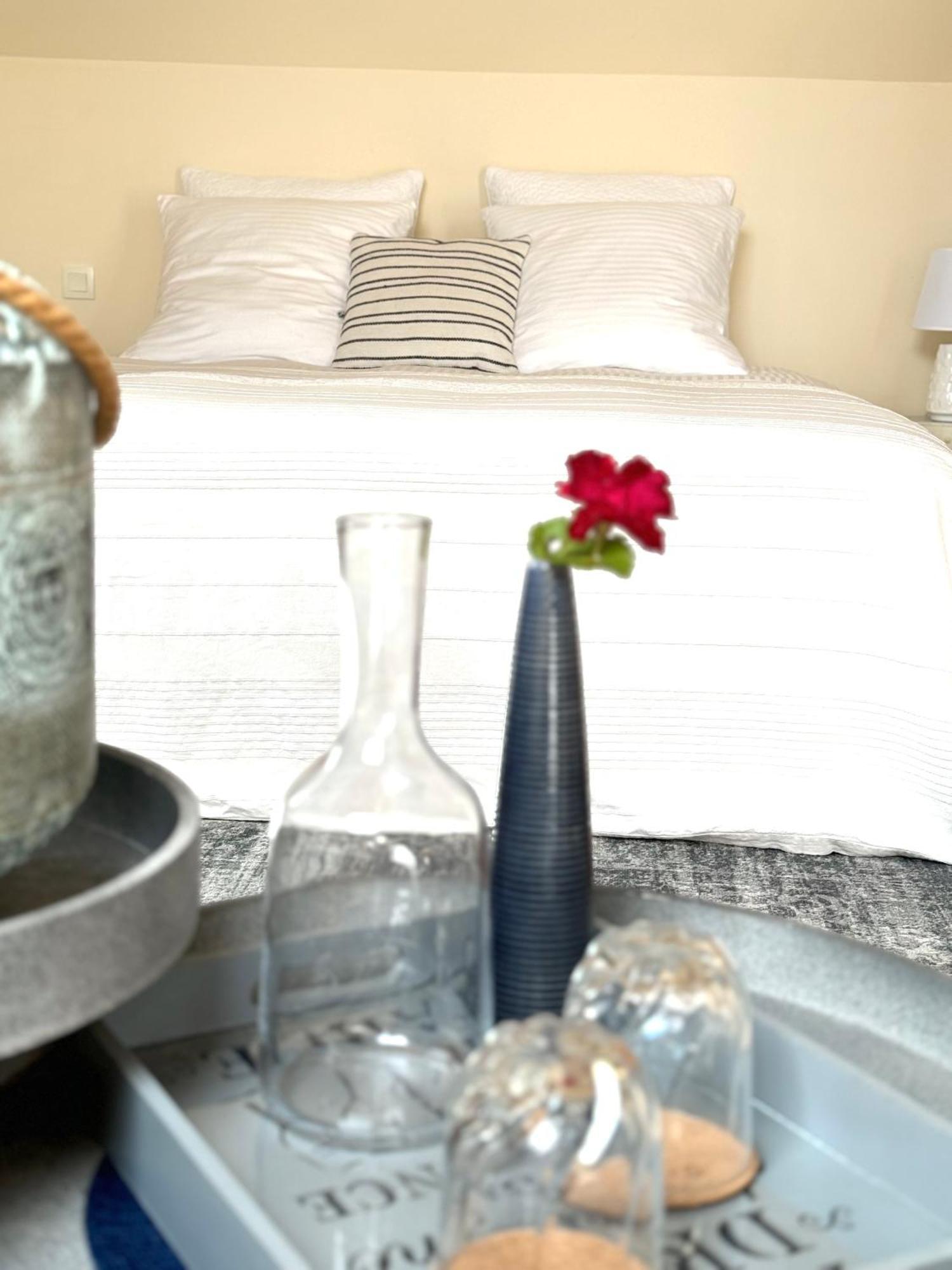 Le Moulin D Olivet Bed & Breakfast Orbigny Dış mekan fotoğraf