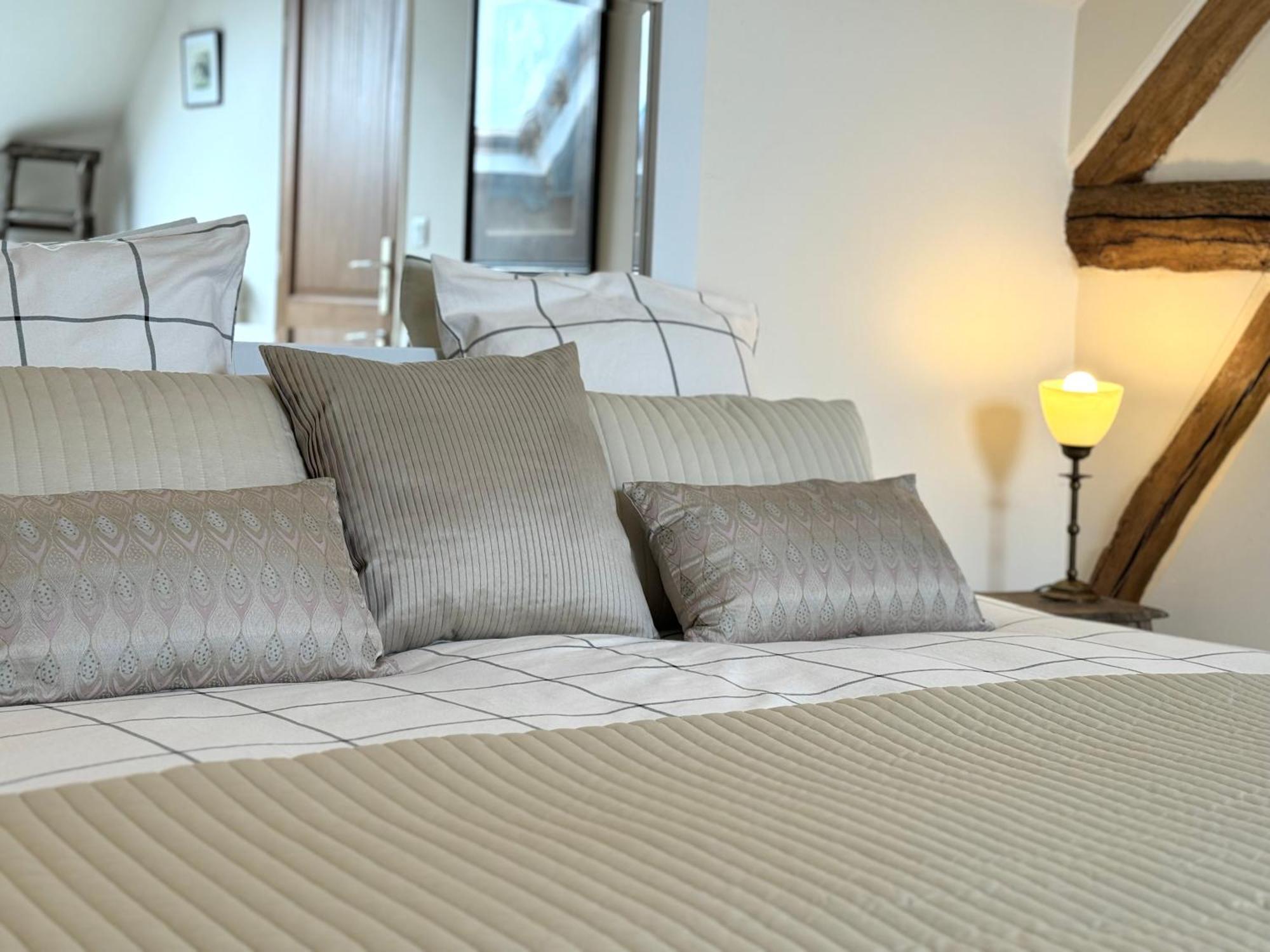 Le Moulin D Olivet Bed & Breakfast Orbigny Dış mekan fotoğraf