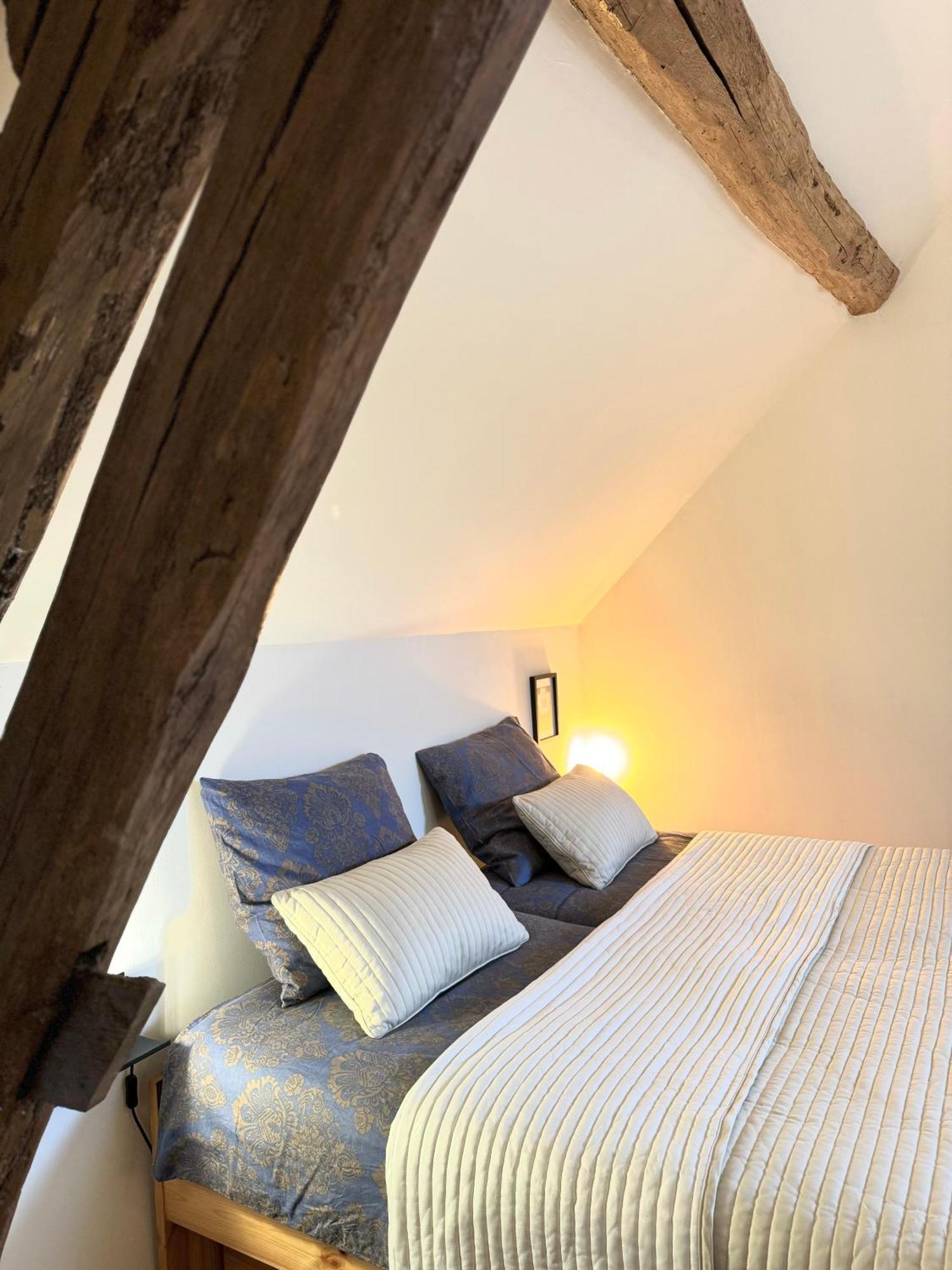 Le Moulin D Olivet Bed & Breakfast Orbigny Dış mekan fotoğraf