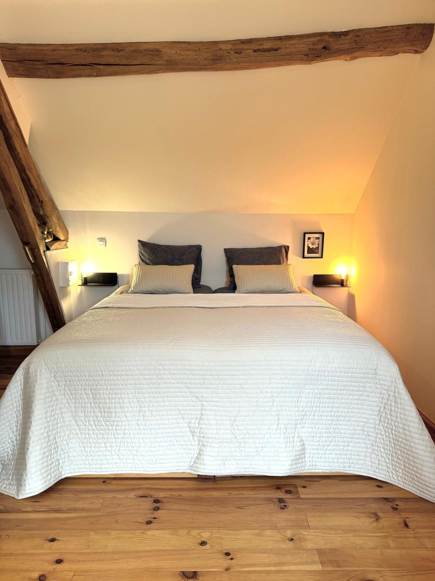 Le Moulin D Olivet Bed & Breakfast Orbigny Dış mekan fotoğraf